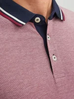 Polo Liso Gola de Camisa - Image 3