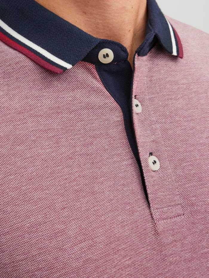 Polo Liso Gola de Camisa - Image 3